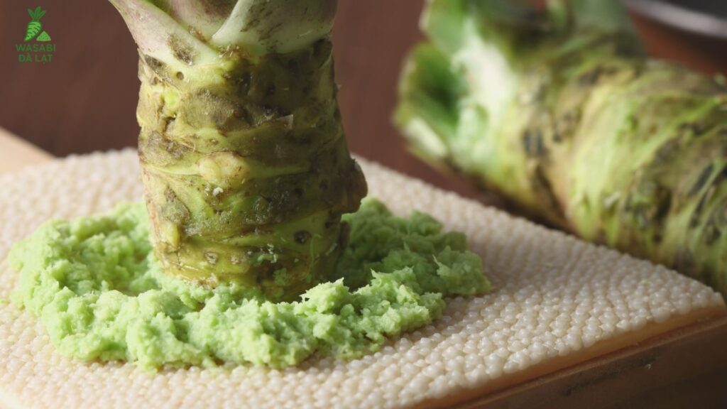 giá wasabi