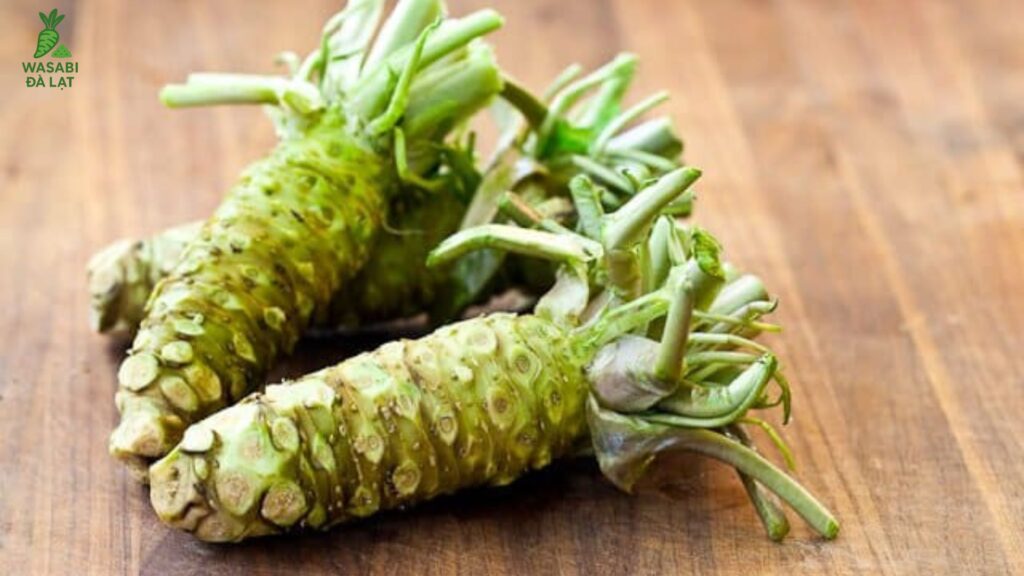 wasabi đà lạt