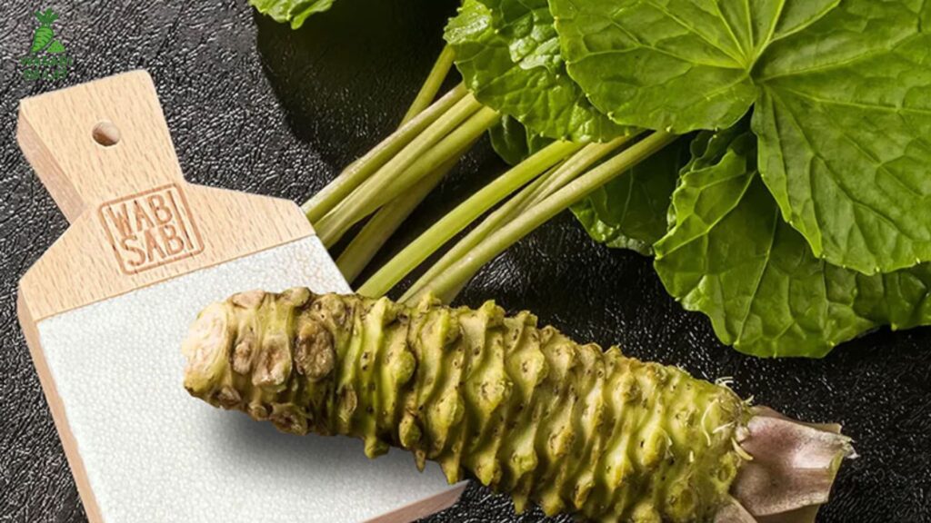 bột wasabi trong ngành thực phẩm