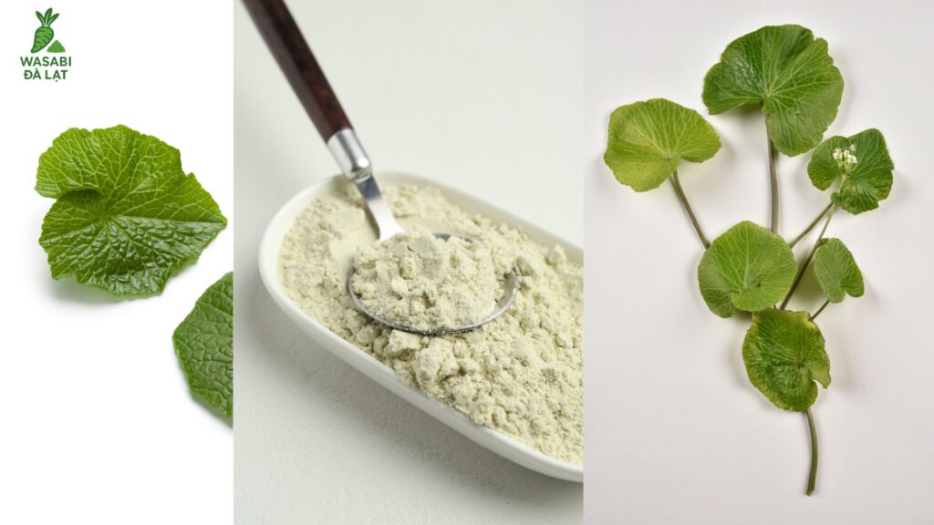 bột wasabi tự nhiên