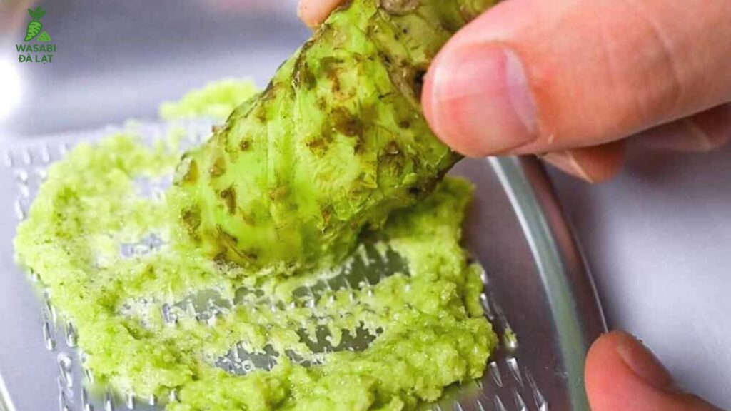 wasabi đà lạt
