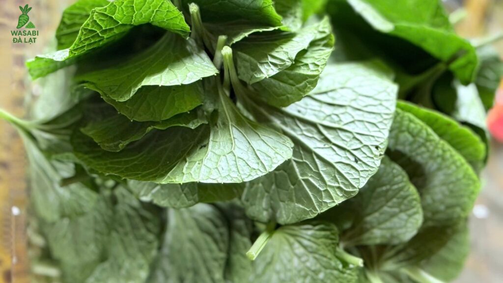 lá wasabi nhỏ