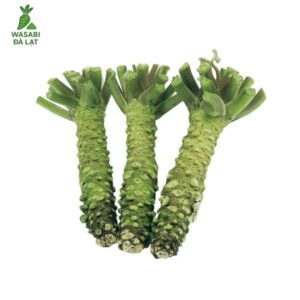 củ wasabi tươi đà lạt