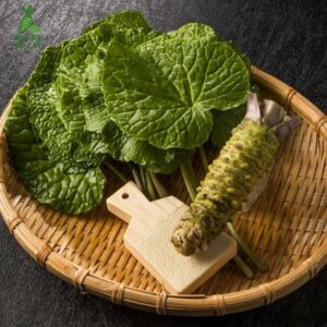 sản phẩm từ wasabi